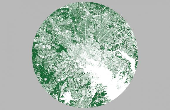 These maps show you every tree in your city