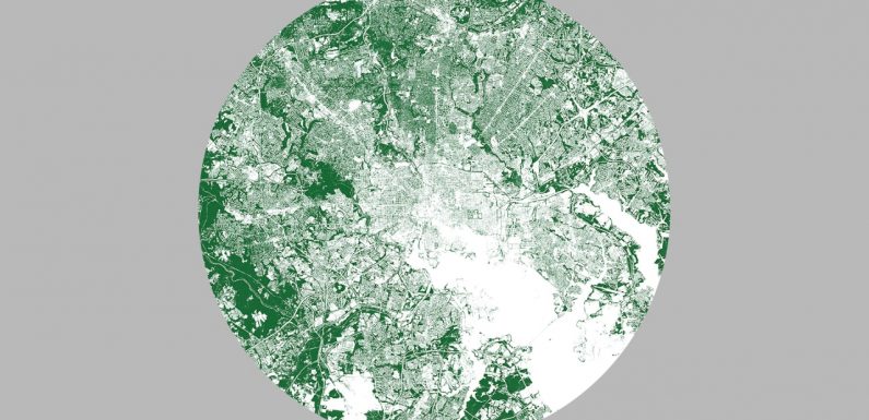 These maps show you every tree in your city