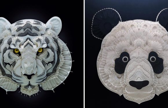 Avec du simple papier, il réalise de superbes portraits d’animaux en voie de disparition