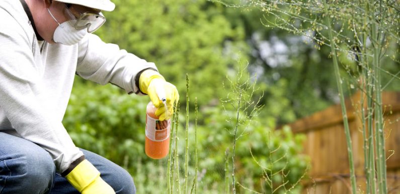 Bientôt 45 plaintes déposées en France contre le glyphosate