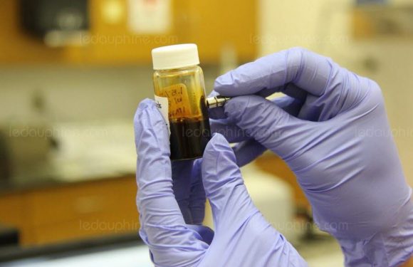 ÉPIDÉMIE Le retour de l’ulcère de Buruli, la bactérie mangeuse de chair ?
