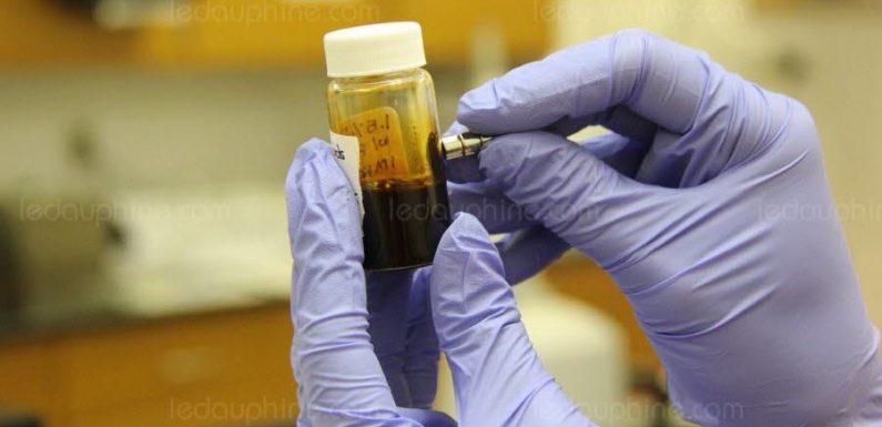 ÉPIDÉMIE Le retour de l’ulcère de Buruli, la bactérie mangeuse de chair ?