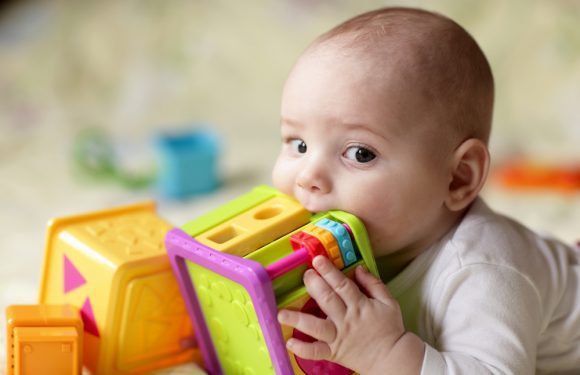 LREM veut faire des européennes un duel avec le RN