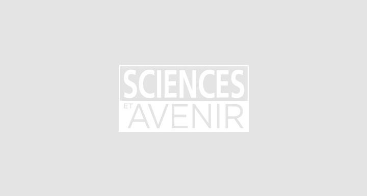 Roméo, une des dernières grenouilles de son espèce, a trouvé sa Juliette