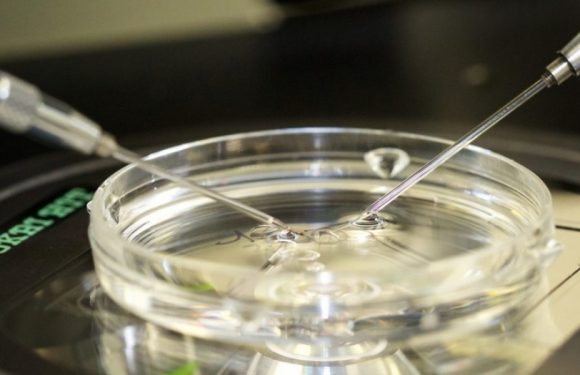 PMA : Un rapport de plus, toujours plus transgressif