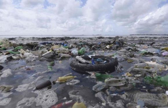 BASF, Total, Suez, Veolia… Une trentaine de multinationales prêtes à engager 1 milliard d&rsquo;euros pour réduire les déchets plastiques