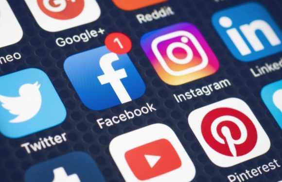 Des communautés de réseaux sociaux à la communauté humaine