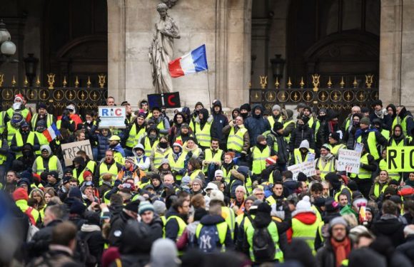 The gilets jaunes: democracy in action