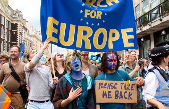 De plus en plus de Britanniques deviennent allemands pour échapper au Brexit