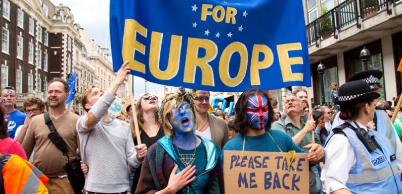 De plus en plus de Britanniques deviennent allemands pour échapper au Brexit
