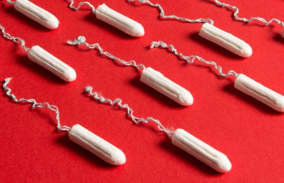 Ces comptes Instagram qui font avancer la cause des femmes