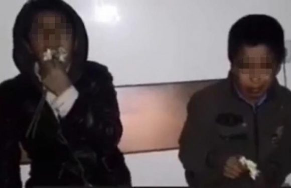 « Mange tes fleurs, vite ! » : des enfants vendeurs de rue violentés en Iran