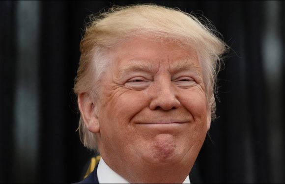 Et si le porno aidait à financer le mur de Trump?