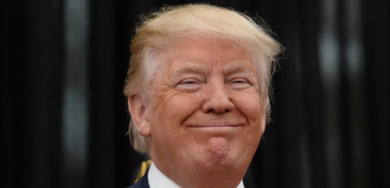 Et si le porno aidait à financer le mur de Trump?