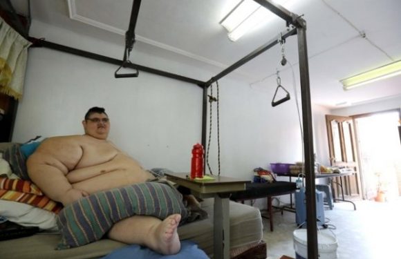 Sous-alimentation, climat, obésité: même combat