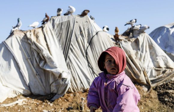 Rapatriement de djihadistes français: une majorité d&rsquo;enfants