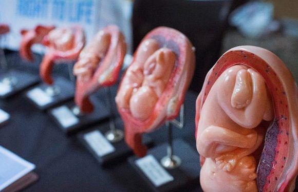 Irlande : 95% des médecins refusent de commettre des avortements