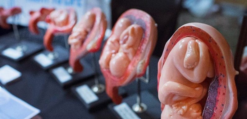 Irlande : 95% des médecins refusent de commettre des avortements