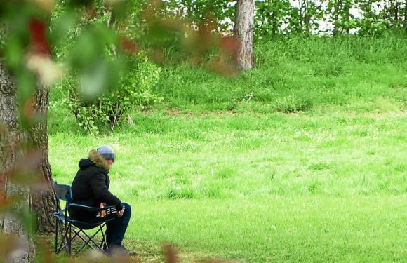 Vannes (56) : Ce parc héberge la nouvelle place forte du trafic de drogue breton « Les flics doivent considérer que c’est mieux de gérer la merde ici plutôt qu’en centre-ville »