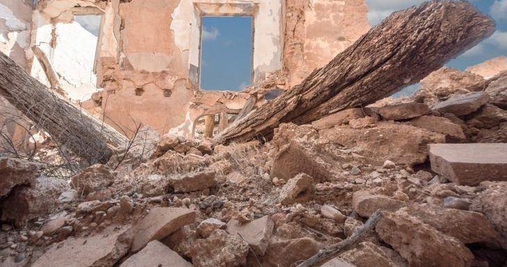 Cet homme se bat corps et âme pour sauver les animaux des pays ravagés par la guerre