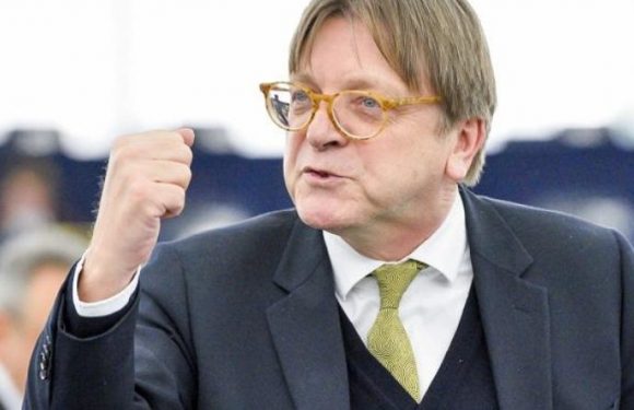 Agressivité contre le gouvernement italien : Verhofstadt se surpasse. Par Ruptures