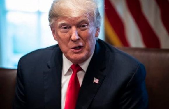 Etats-Unis : Le pays frappé par un froid glacial, Donald Trump demande « le retour du réchauffement climatique »