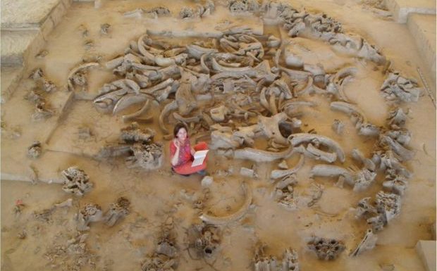 Gontsy (Ukraine): Il y a 14 500 ans, des hommes édifiaient leurs cabanes à l’aide d’os de mammouths (Podcast audio)