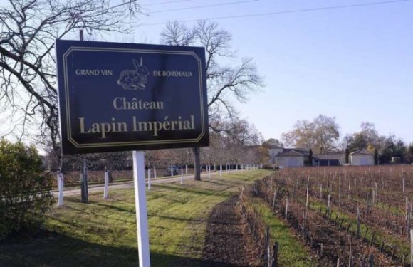 Bordeaux (33) : l’écrivain Philippe Sollers écrit à Alain Juppé pour se plaindre des noms de châteaux chinois