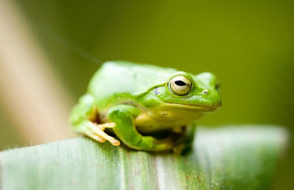 Paperasse, réglementations, contraintes : le métier d’avocat sous pression