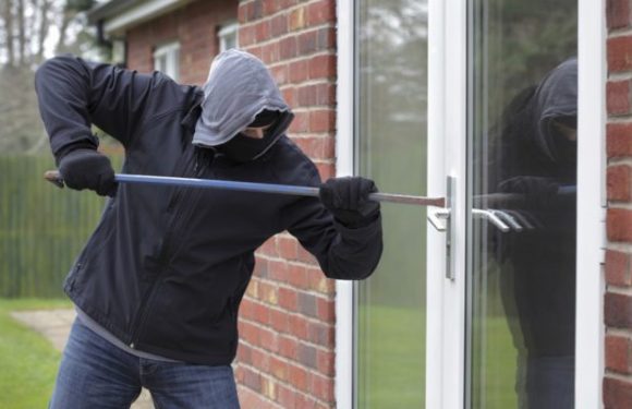 Seine-et-Marne : Hausse des cambriolages commis par des migrants majeurs se prétendant mineurs (parquet)