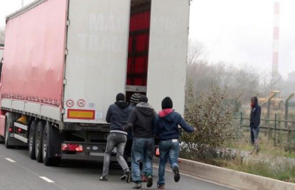 Calais : « Les associations pro-migrants leur fournissent le matériel pour couper les arbres afin de bloquer l’autoroute et de s’introduire dans les camions »
