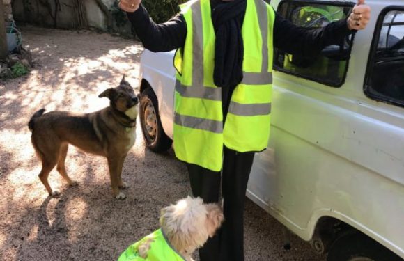 « Ne lâchez rien » : Brigitte Bardot n’abandonne pas les Gilets jaunes