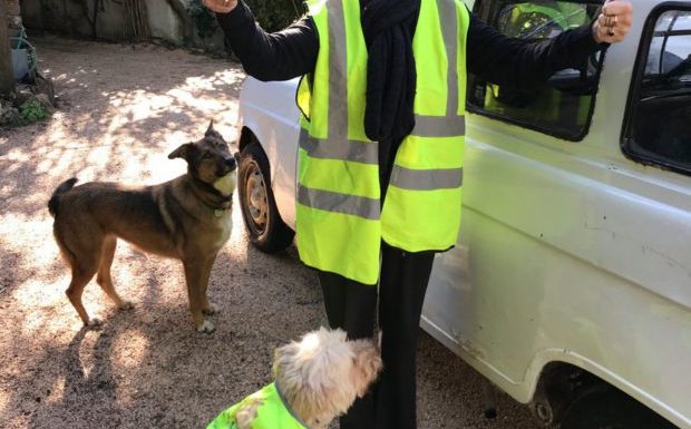 « Ne lâchez rien » : Brigitte Bardot n’abandonne pas les Gilets jaunes