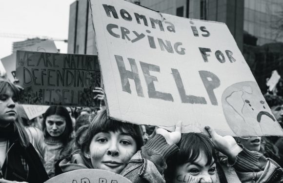 A Bruxelles, «pourquoi aller à l’école si on n’a pas de futur ?»