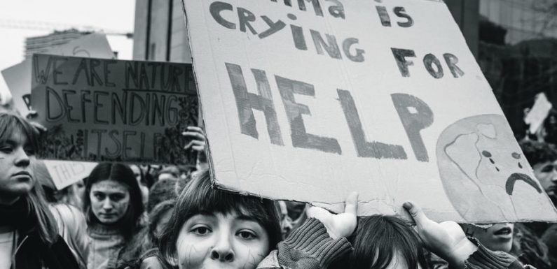 A Bruxelles, «pourquoi aller à l’école si on n’a pas de futur ?»