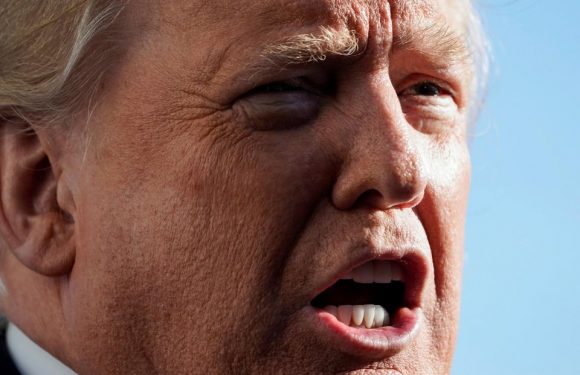 «Trump utilise le même registre, qu’il s’adresse à un enfant ou à un chef d’Etat»