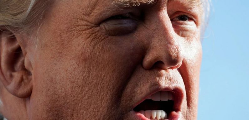 «Trump utilise le même registre, qu’il s’adresse à un enfant ou à un chef d’Etat»