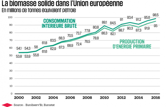 Biomasse : un substitut au charbon plébiscité en Europe