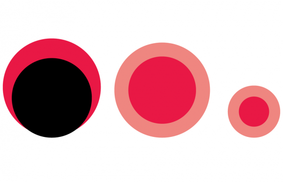 Chasse : le plomb, un poison pour l&rsquo;homme et l&rsquo;environnement