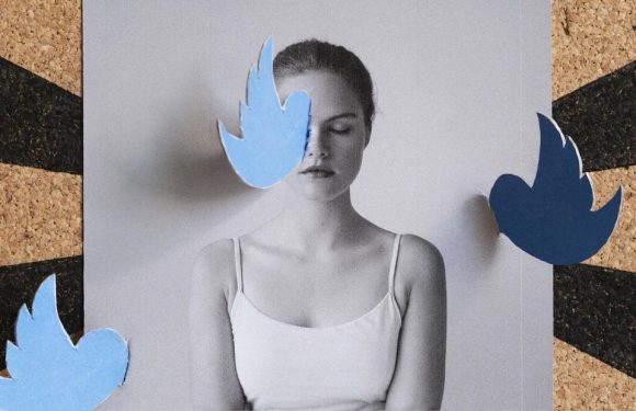 Ligue du lol: au commencement, le règne de la twittostérone