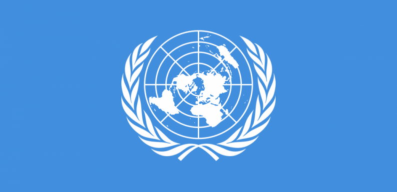 Des experts de l’ONU dénoncent des restrictions graves aux droits des manifestants « gilets jaunes »