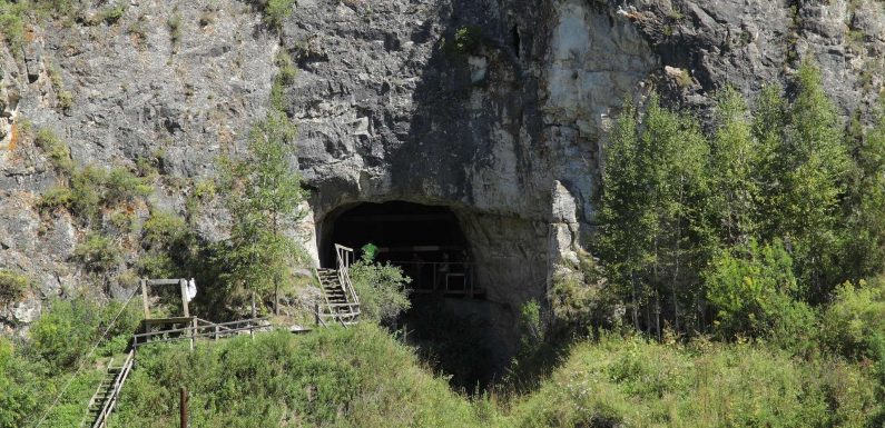 Homme de Denisova : du nouveau sur cette espèce humaine encore méconnue