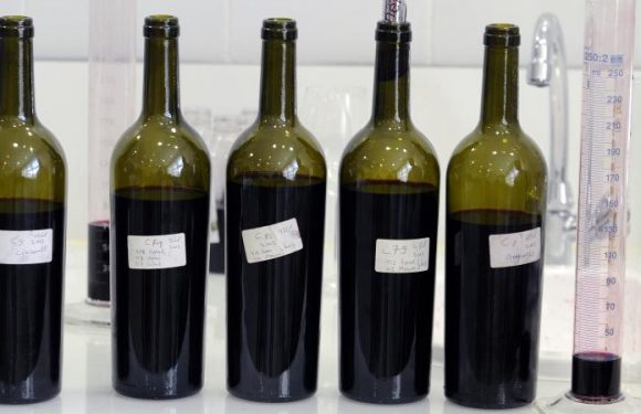 ENQUETE FRANCEINFO. Additifs, pesticides… Le vin que vous buvez ne contient pas que du raisin : découvrez le résultat de nos analyses