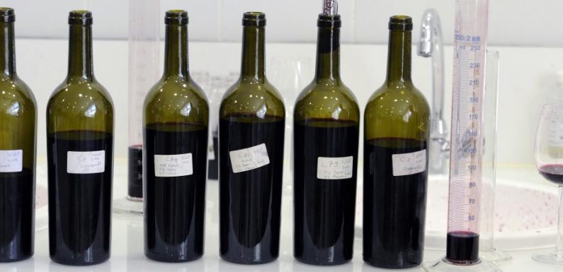 ENQUETE FRANCEINFO. Additifs, pesticides… Le vin que vous buvez ne contient pas que du raisin : découvrez le résultat de nos analyses