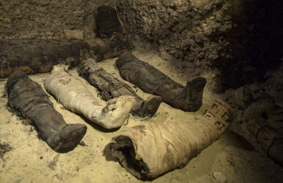 L’Égypte dévoile des momies datant de la période hellénistique