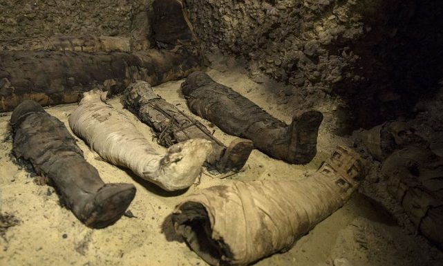 L’Égypte dévoile des momies datant de la période hellénistique