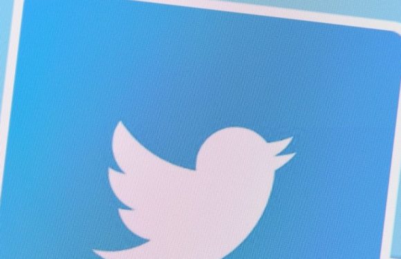 Des membres de la « Ligue du LOL » suppriment des centaines de tweets