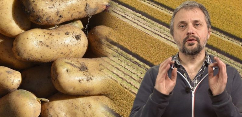 « Le bio c’est bien, mais ça pourrait être beaucoup mieux »