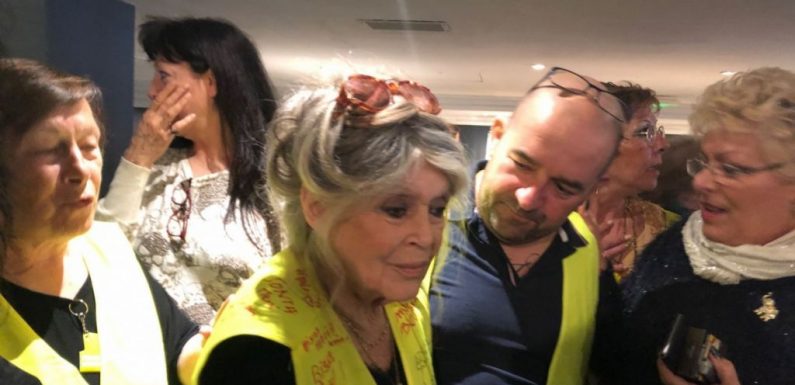 Brigitte Bardot aux « gilets jaunes » : « Ne lâchez rien… Je vous soutiens »