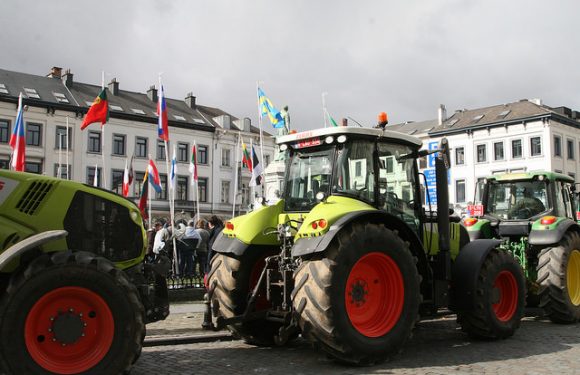 Loi EGALIM : pénaliser la vente à perte peut-il aider les agriculteurs ?